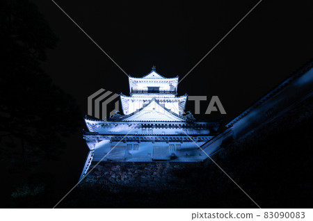 燈火通明的高知城樓（高知縣高知市） 83090083