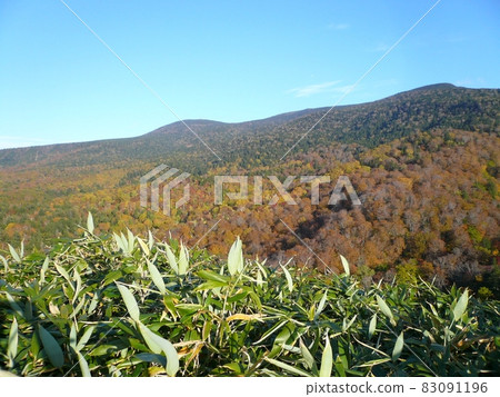 Shirafu Pass (Yonezawa City, Yamagata Prefecture) 83091196