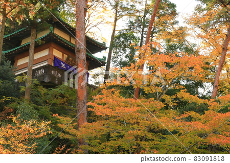 東京青梅市觀山寺秋葉 83091818