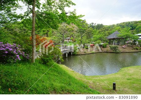Japanese garden wooden bridge azalea flowers Japanese garden wooden bridge azalea flowers 83091890