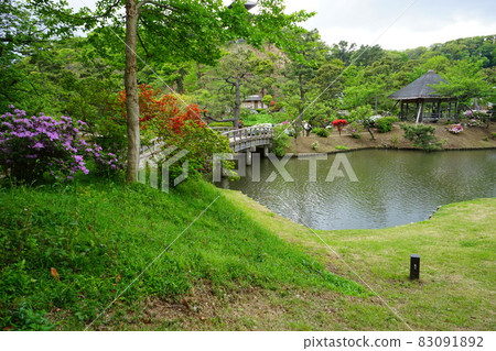 Japanese garden wooden bridge azalea flowers Japanese garden wooden bridge azalea flowers 83091892