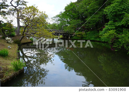 日本花園池塘松樹橋 日本花園池塘松樹橋 83091908