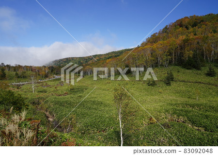 秋季志賀高原，滋賀草津路，國道292號，木戶沼澤，平板附近 83092048