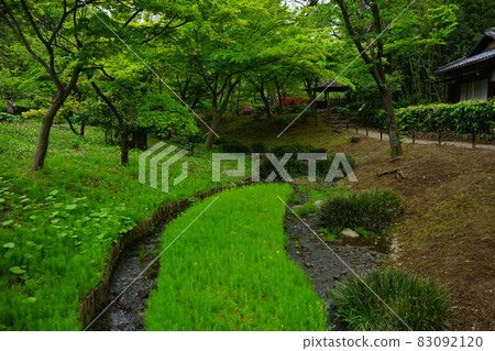 Brooks of the Japanese garden Brooks of the Japanese garden 83092120
