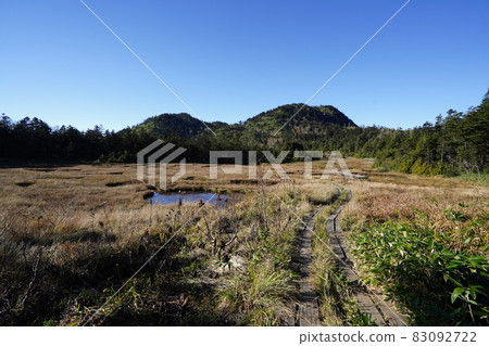 Autumn Shiga Kogen: Autumn leaves and ponds in the Shigaike Marsh 83092722