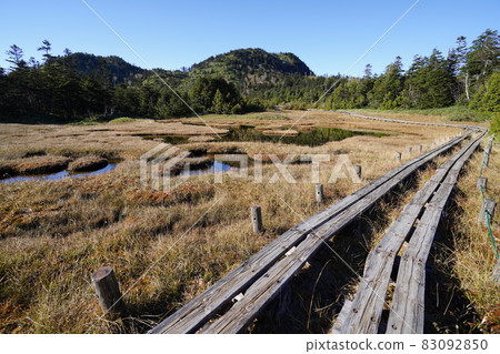 Autumn Shiga Kogen: Autumn leaves and ponds in the Shigaike Marsh 83092850