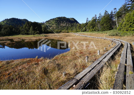 Autumn Shiga Kogen: Autumn leaves and ponds in the Shigaike Marsh 83092852