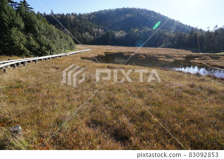 Autumn Shiga Kogen: Autumn leaves and ponds in the Shigaike Marsh 83092853