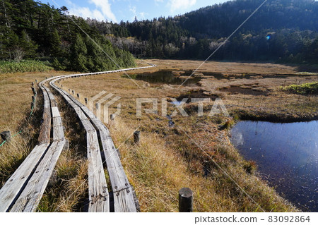 Autumn Shiga Kogen: Autumn leaves and ponds in the Shigaike Marsh 83092864