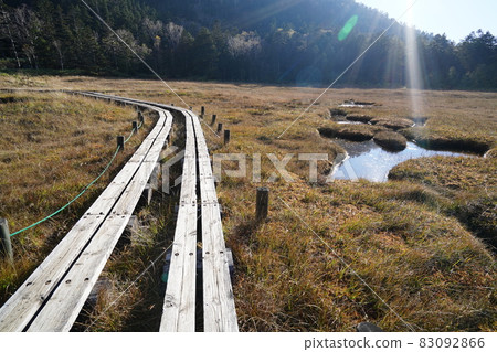 Autumn Shiga Kogen: Autumn leaves and ponds in the Shigaike Marsh 83092866