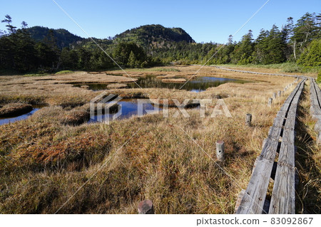 Autumn Shiga Kogen: Autumn leaves and ponds in the Shigaike Marsh 83092867