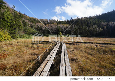 Autumn Shiga Kogen: Autumn leaves and ponds in the Shigaike Marsh 83092868