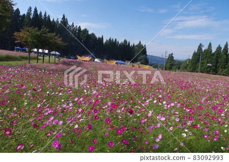 Let's go on a picnic together Let's go on a picnic together 83092993