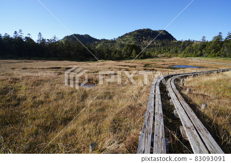 Autumn Shiga Kogen: Autumn leaves and ponds in the Shigaike Marsh 83093091