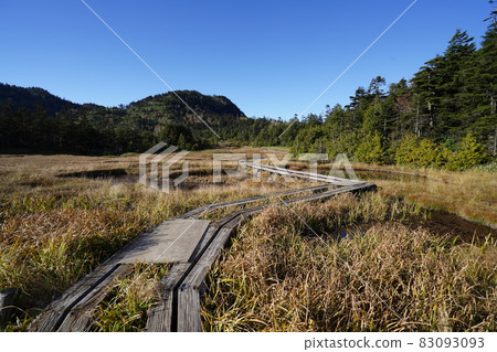 Autumn Shiga Kogen: Autumn leaves and ponds in the Shigaike Marsh 83093093