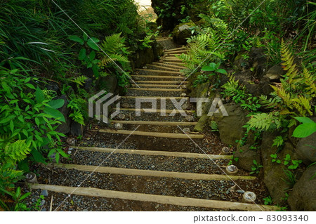 Japanese garden stone steps 83093340