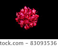 Bright red geranium flowers 83093536