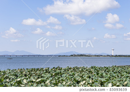 Lake Kasumigaura Lake Kasumigaura 83093639