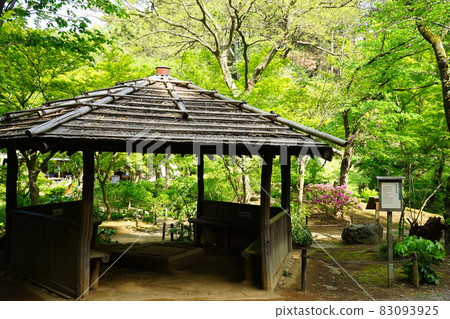 日本庭園東屋 日本庭園東屋 83093925