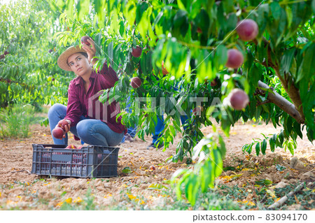 Young lady working in garden 83094170