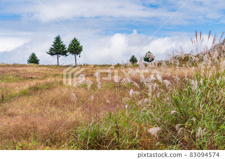 (福島縣)芒草秋郡山布引高原風電場 (福島縣)芒草秋郡山布引高原風電場 83094574