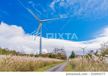 (Fukushima Prefecture) Miscanthus sinensis, autumn Koriyama Nunobiki Kogen wind farm 83094577