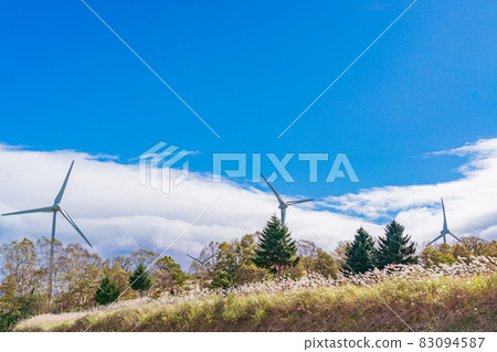 (Fukushima Prefecture) Miscanthus sinensis, autumn Koriyama Nunobiki Kogen wind farm (Fukushima Prefecture) Miscanthus sinensis, autumn Koriyama Nunobiki Kogen wind farm 83094587
