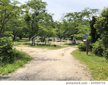 “Gasantoda Castle Mountain Trail”(島根縣安紀市) “Gasantoda Castle Mountain Trail”(島根縣安紀市) 83094734