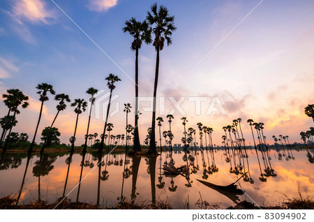 sugar palm trees with skyline reflection, Pathum 83094902