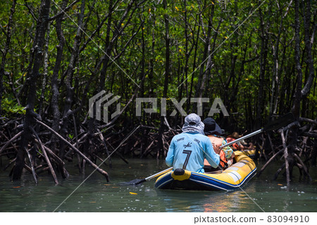 canoe to mangrove forest sea, Phang Nga 83094910