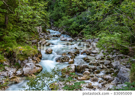 Magic Forest Zauberwald at Lake Hintersee with Creek Ramsauer Ache. National Park Berchtesgadener Land, Germany 83095009