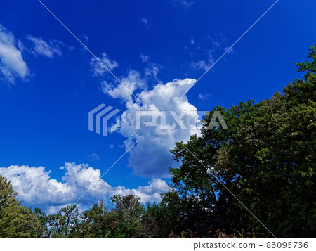 In late summer In late summer 83095736