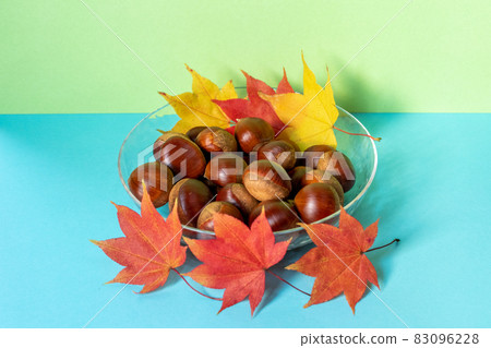 Chestnut _ chestnut _ chestnut _ autumn _ autumn taste _ chestnut picking 83096228