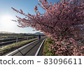 Yamanote Sakura 83096611