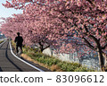 Yamanote Sakura 83096612