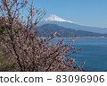 Sakura at Satta Pass 83096906