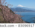 Sakura at Satta Pass 83096917