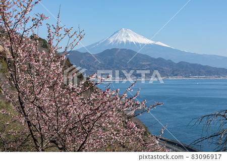 Sakura at Satta Pass 83096917