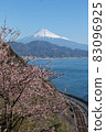 Sakura at Satta Pass 83096925