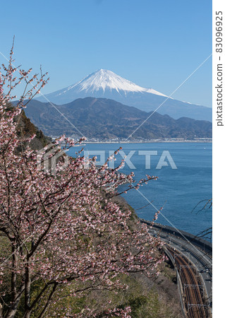 Satta Pass的櫻花 83096925