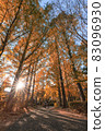 Autumn in Johoku Park 83096930