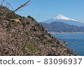 Sakura at Satta Pass 83096937
