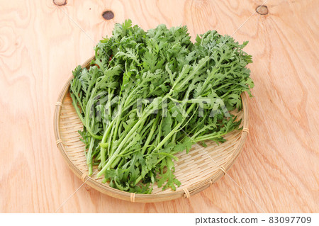 Shanda Shanda 83097709