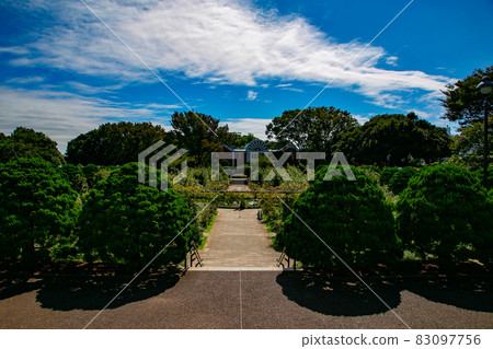 Hill Park with a View of the Harbor, Yokohama 83097756