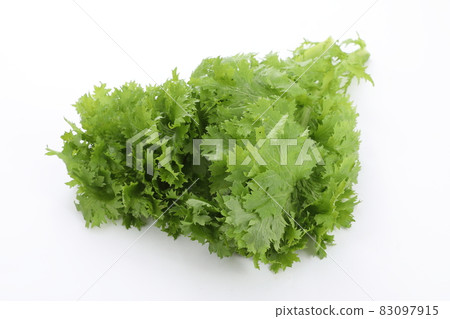 Wasabi Wasabi 83097915