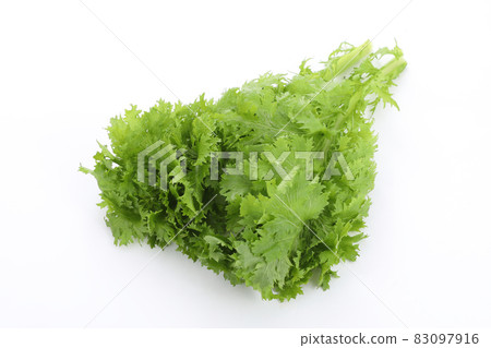 Wasabi Wasabi 83097916
