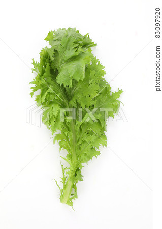 Wasabi Wasabi 83097920