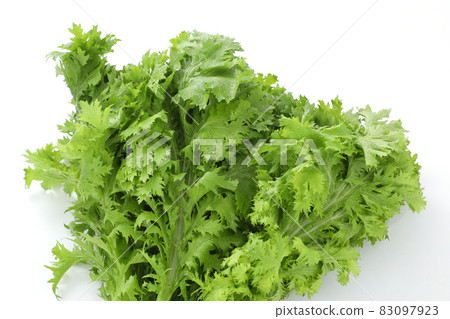 Wasabi Wasabi 83097923
