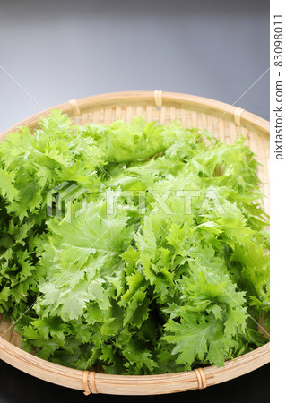 Wasabi Wasabi 83098011