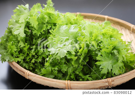 Wasabi Wasabi 83098012